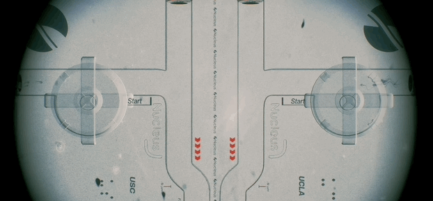 全球首场竞速大赛生物界自己的F1(图5)