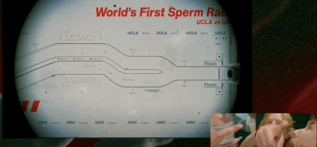 全球首场竞速大赛生物界自己的F1(图7)