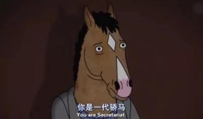 全球首场竞速大赛生物界自己的F1(图13)