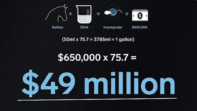 全球首场竞速大赛生物界自己的F1(图17)