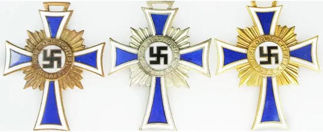 全球首场竞速大赛生物界自己的F1(图34)