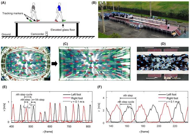 川大研发高精度行人追踪技术实现密集人群环境下行人移动追踪