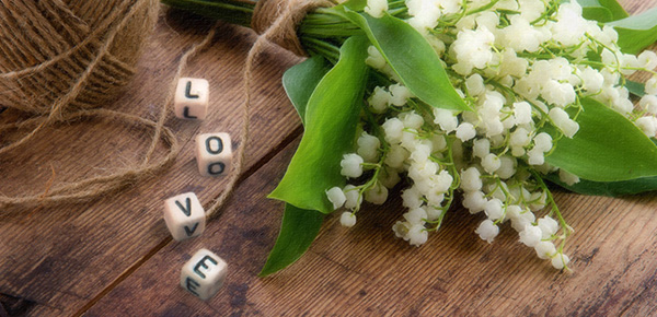 ae中跟踪运动怎么做